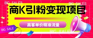商K引粉变现项目,高客单价精准流量【揭秘】-成可创学网