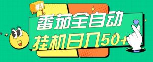 番茄全自动挂机日入50+，软件全自动，多号破百【揭秘】-成可创学网