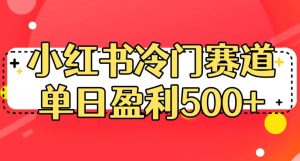 小红书冷门赛道，单日盈利500+【揭秘】-成可创学网