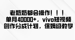 老奶奶都会操作，新平台无脑操作，单月40000+，vivo短视频创作分成计划【揭秘】-成可创学网