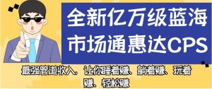 全新亿万级蓝海市场通惠达cps，最强管道收入，让你睡着赚、躺着赚、玩着赚、轻松赚【揭秘】-成可创学网
