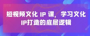短视频文化IP课,学习文化IP打造的底层逻辑-成可创学网