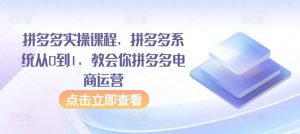 拼多多实操课程,拼多多系统从0到1,教会你拼多多电商运营-成可创学网