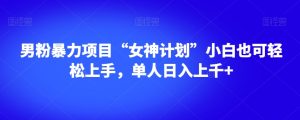 男粉暴力项目“女神计划”小白也可轻松上手,单人日入上千+【揭秘】-成可创学网