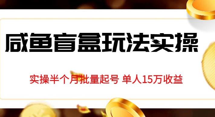 独家首发咸鱼盲盒玩法实操，半个月批量起号单人15万收益【揭秘】-成可创学网