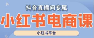 小红书电商高级运营课程，实操教学+案例分析-成可创学网