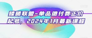 臻曦联盟-单品微付费正价起号，2024年1月最新课程-成可创学网