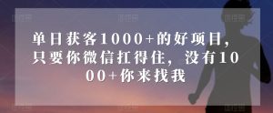 单日获客1000+的好项目，只要你微信扛得住，没有1000+你来找我【揭秘】-成可创学网