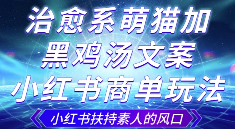 治愈系萌猫加+黑鸡汤文案，小红书商单玩法，3~10天涨到1000粉，一单200左右-成可创学网