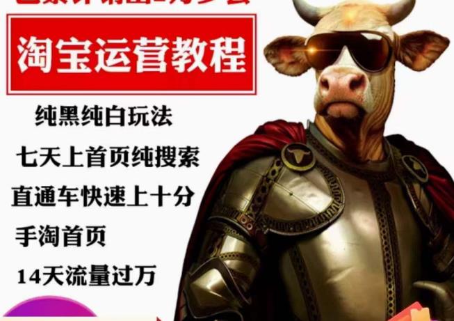 猫老师·淘系算法逆向解密，​纯黑纯白玩法，七天上首页纯搜索，手淘首页14天流量过万-成可创学网