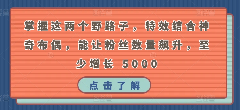 掌握这两个野路子，特效结合神奇布偶，能让粉丝数量飙升，至少增长 5000【揭秘】-成可创学网