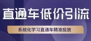 直通车低价引流课,系统化学习直通车精准投放-成可创学网