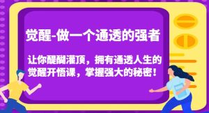 觉醒-做一个通透的强者，让你醍醐灌顶，拥有通透人生的觉醒开悟课，掌握强大的秘密！-成可创学网