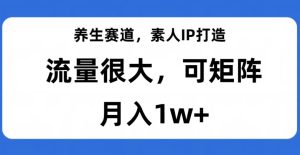 养生赛道,素人IP打造,流量很大,可矩阵,月入1w+【揭秘】-成可创学网