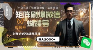 矩阵刷爆微信蝴蝶号创作者分成计划收益的新玩法,日入2000+【揭秘】-成可创学网