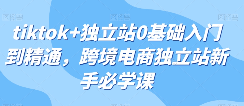 tiktok+独立站0基础入门到精通，跨境电商独立站新手必学课-成可创学网