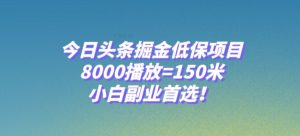 今日头条掘金低保项目，8000播放=150米，小白副业首选【揭秘】-成可创学网
