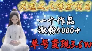 天选之人炼金项目,一个作品涨粉5000+,单号变现3.6w【揭秘】-成可创学网
