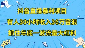抖音直播暴利项目,有人30小时收入36万音浪,公司宣传片年会视频制作,抓住年底一波流量大红利【揭秘】-成可创学网