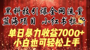 蓝海项目!黑科技引爆全网流量小红书拉新,单日暴力收益7000+,小白也能轻松上手【揭秘】-成可创学网