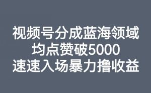 视频号分成蓝海领域,均点赞破5000,速速入场暴力撸收益-成可创学网