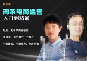2023手淘搜索实操课+体系化课程,起店起单品实操视频课程-成可创学网