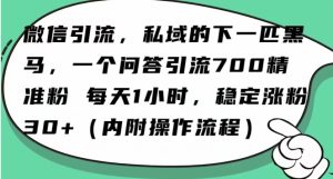 怎么搞精准创业粉?微信新赛道,每天一小时,利用Ai一个问答日引100精准粉-成可创学网