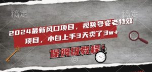 2024最新风口项目,视频号变老特效项目,电脑小白上手3天卖了3w+,保姆级教程【揭秘】-成可创学网