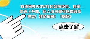 有道词典WOW社区蓝海项目,目前高速上升期,新人小白都可以换取高收益!赶紧布局!【揭秘】-成可创学网