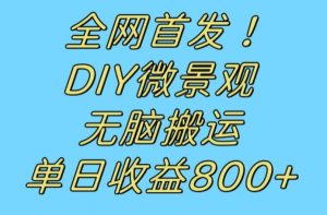 全网首发冷门赛道！DIY微景观，无脑搬运视频，日收益800+【揭秘】-成可创学网