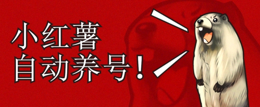 小红书养号秘籍，如何自动涨粉清晰系统标签打造高权重账号【揭秘】-成可创学网