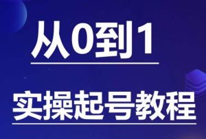 石野·小白起号实操教程,掌握各种起号的玩法技术,了解流量的核心-成可创学网