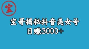 宝哥揭秘抖音美女号玩法,日赚3000+【揭秘】-成可创学网