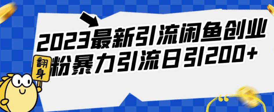 2023最新引流闲鱼创业粉暴力引流日引200+【揭秘】-成可创学网