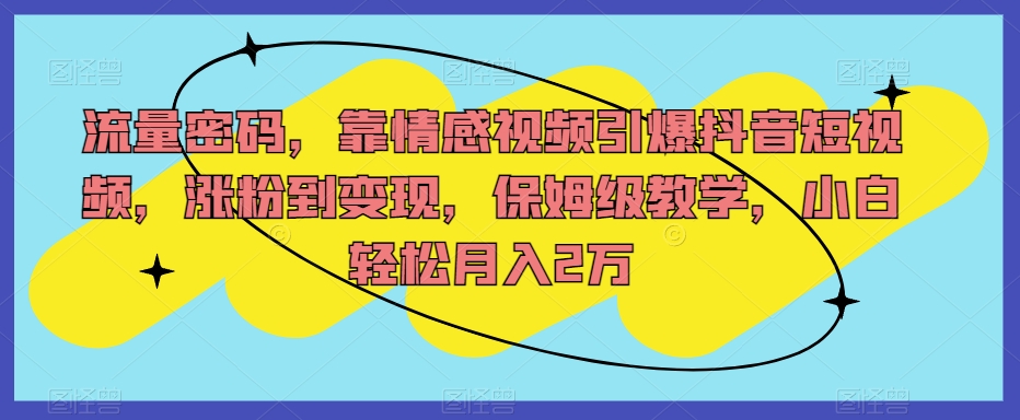 流量密码，靠情感视频引爆抖音短视频，涨粉到变现，保姆级教学，小白轻松月入2万【揭秘】-成可创学网