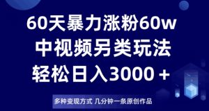 60天暴力涨粉60W，中视频另类玩法，日入3000＋，几分钟一条原创作品多种变现方式-成可创学网