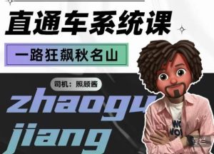 照顾酱·直通车系统课,从0到1搭建你的付费推广思维,讲基础,讲思路,讲方法,也讲实操-成可创学网