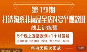 打造淘系非标全店N多个爆款线上课,5天直播课-成可创学网