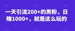 一天引流200+的男粉,日赚1000+,就是这么玩的【揭秘】-成可创学网