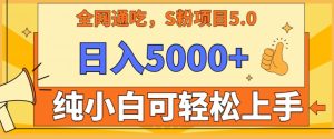 男粉项目5.0,最新野路子,纯小白可操作,有手就行,无脑照抄,纯保姆教学【揭秘】-成可创学网