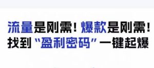 电商盈利精品课:6大盈利密码让产品更好卖,流量是刚需!爆款是刚需!找到”盈利密码”一键起爆-成可创学网
