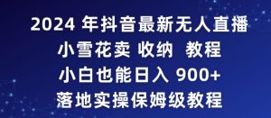 2024年抖音最新无人直播小雪花卖收纳教程,小白也能日入900+落地实操保姆级教程【揭秘】-成可创学网