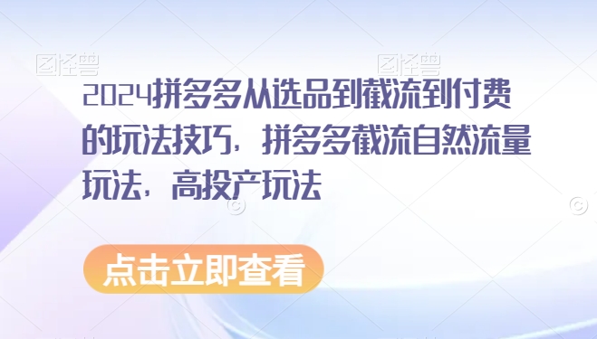 2024拼多多从选品到截流到付费的玩法技巧，拼多多截流自然流量玩法，高投产玩法-成可创学网