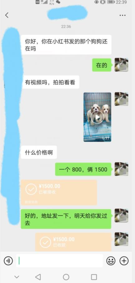 外边收费3980的同城萌宠项目，用最冷门的玩法冲击最热门的市场【揭秘】-成可创学网