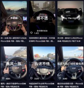 抖音开车视频项目，0基础操作，每天五分钟，月入1W+【揭秘】-成可创学网