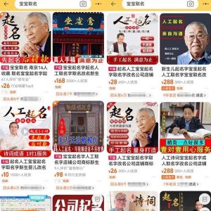 拆解小红书宝宝起名虚拟副业项目,一条龙实操玩法分享给你(教程+软件)-成可创学网