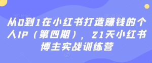 从0到1在小红书打造赚钱的个人IP（第四期），21天小红书博主实战训练营-成可创学网