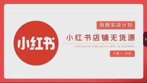 安琪-小红书店铺无货源实战，开店到售后全流程操作-成可创学网