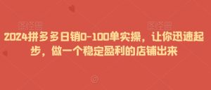 2024拼多多日销0-100单实操，让你迅速起步，做一个稳定盈利的店铺出来-成可创学网