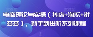 电商理论与实操(抖店+淘系+拼多多),新手到进阶系列课程-成可创学网